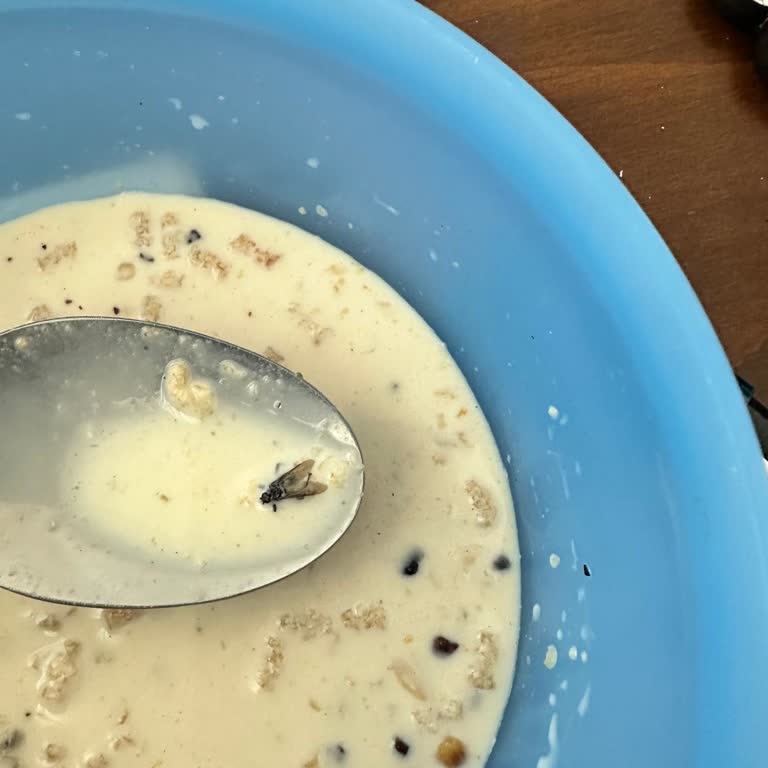 Granola Paketinden Böcek Çıktı, Müşteri Hizmetlerinden Dönüş Alamadım