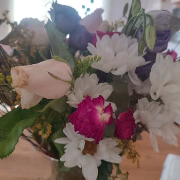 Teslim Edilen Çiçeklerin Hızla Solması Ve Müşteri Hizmetlerinin İlgisizliği