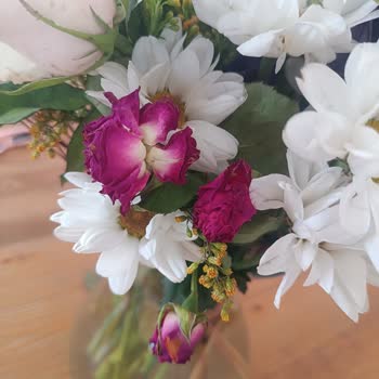 Teslim Edilen Çiçeklerin Hızla Solması Ve Müşteri Hizmetlerinin İlgisizliği