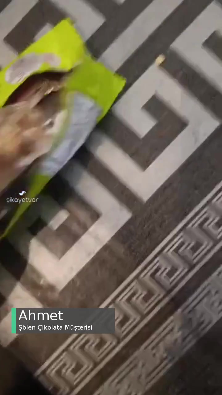 Şölen Çikolata Fare Tarafından Isırılmış videonun kapak resmi