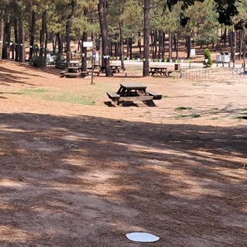 Pendik Yenişehir Mesire Alanında Şeritlerle Kapatılan Bölümler Mağduriyet Yaratıyor