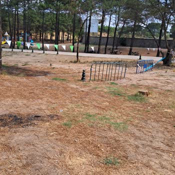 Pendik Yenişehir Mesire Alanında Şeritlerle Kapatılan Bölümler Mağduriyet Yaratıyor