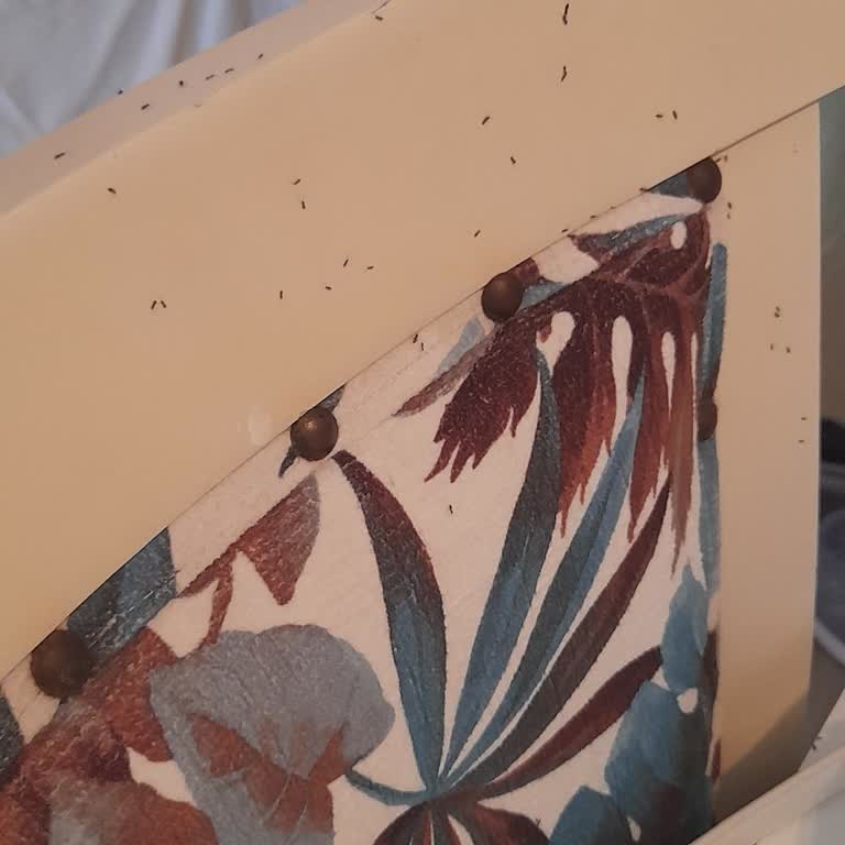 Belpınar Club Hotel'de Müşteri Memnuniyetsizliği!