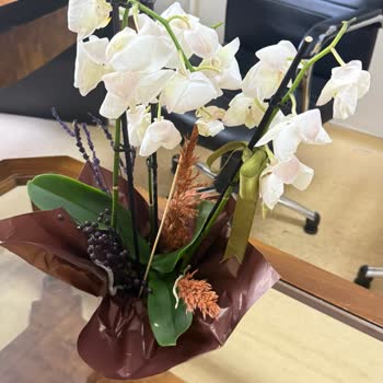 Çiçek Sepeti Hasarlı Orkide ve Eksik Teslimat Deneyimi