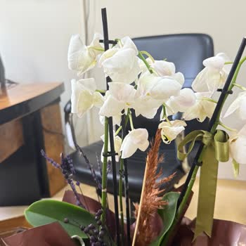 Çiçek Sepeti Hasarlı Orkide ve Eksik Teslimat Deneyimi