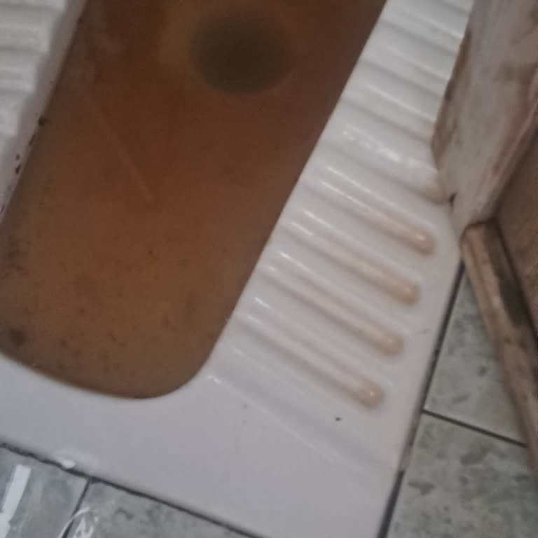 Taşan Tuvalet Kuyusu Nedeniyle Evde Sağlık Riski Ve Çözüm Bulamama