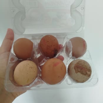 Bozuk Ve Son Kullanma Tarihi Yaklaşmış Ürün Teslimatı Sonrası Yetersiz Müşteri Hizmeti