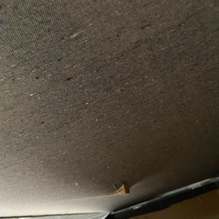 Garanti Kapsamındaki Koltuk İçin Destek Alınamıyor, Mağduriyet Yaşıyorum