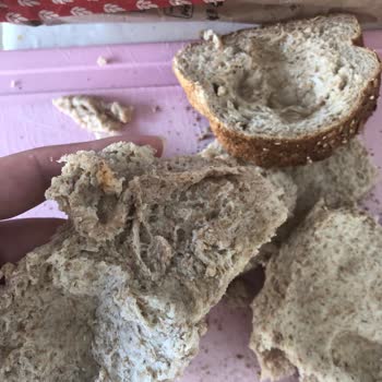 File Market'ten Satın Alınan Ekmek Hamur Çıktı, Mağduriyetimin Giderilmesini İstiyorum