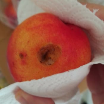 Migros Sanal'dan Gönderilen Meyveler Çürük Ve Tüketilemezdi
