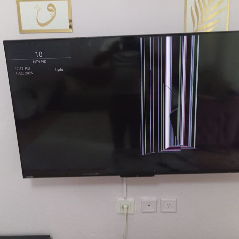 Garanti Kapsamındaki Toshiba TV İçin Yetersiz Servis Ve Kapora Mağduriyeti
