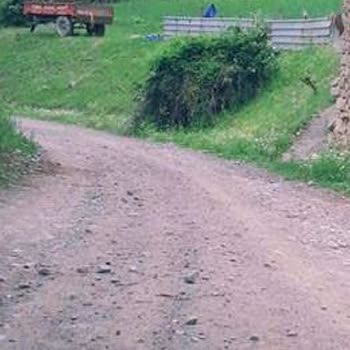 Alanşeyhi Köyü'nde Süregelen Elektrik Ve İnternet Altyapı Sorunları