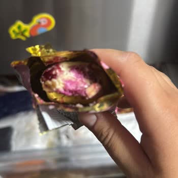 GetirYemek Açılmış Ve Tüketilmiş Dondurma Teslimatı Sonrası Yetersiz Müşteri Hizmeti