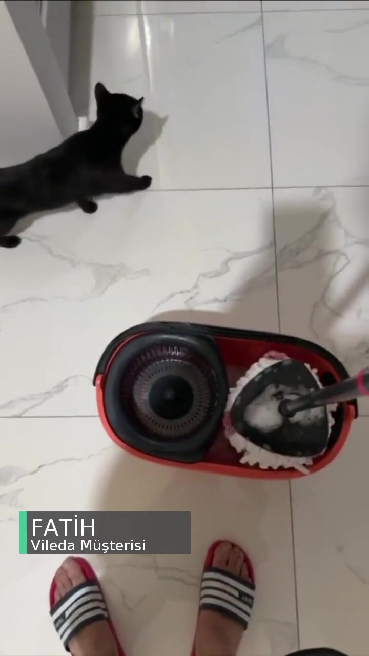 Vileda Pedal Boşa Dönüyor, Islak Bir Şekilde Paspas Yapıyoruz videonun kapak resmi