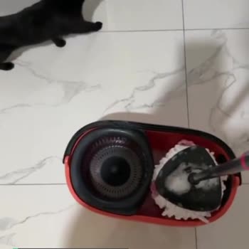 Vileda Pedal Boşa Dönüyor, Islak Bir Şekilde Paspas Yapıyoruz