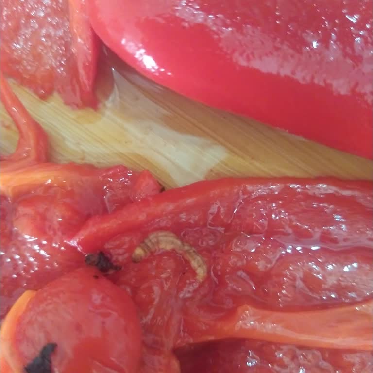 Közlenmiş Biber Konservesinden Ölü Canlı Çıktı, Güvenim Sarsıldı