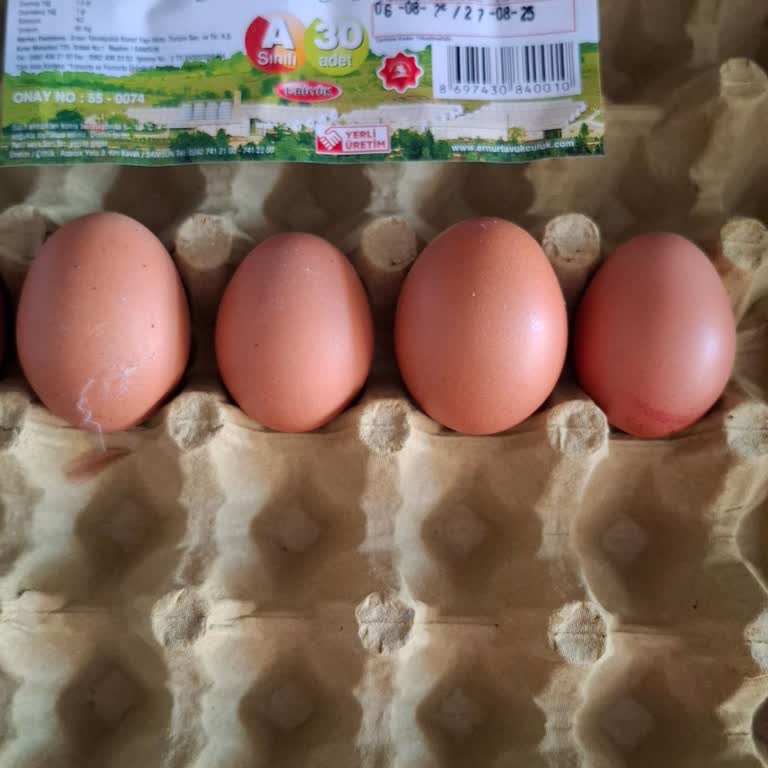 Ernur Tavukçuluk A Sınıfı Büyük Boy Olarak Aldığımız Yumurta Kolisinin Yarısı Küçük Boy Çıktı!