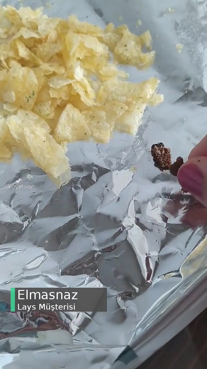 Baharatlı Lays Şikayeti videonun kapak resmi