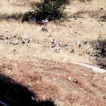 Ormanlık Alandaki Çöp Ve Cam Şişeler Yangın Riski Yaratıyor
