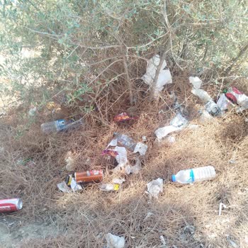 Ormanlık Alandaki Çöp Ve Cam Şişeler Yangın Riski Yaratıyor