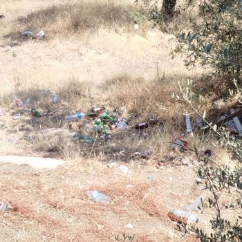 Ormanlık Alandaki Çöp Ve Cam Şişeler Yangın Riski Yaratıyor