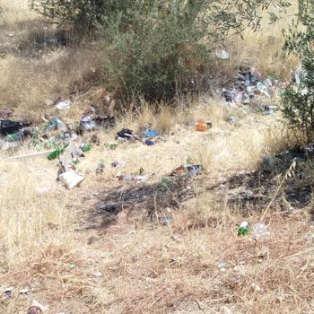 Ormanlık Alandaki Çöp Ve Cam Şişeler Yangın Riski Yaratıyor