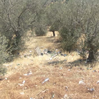 Ormanlık Alandaki Çöp Ve Cam Şişeler Yangın Riski Yaratıyor