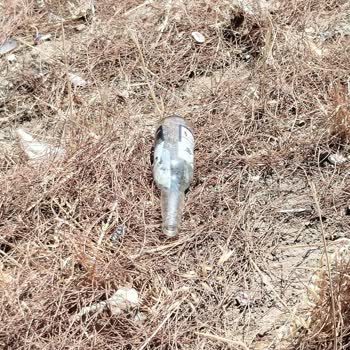 Ormanlık Alandaki Çöp Ve Cam Şişeler Yangın Riski Yaratıyor