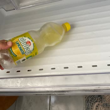 Yetkili Servisten Sonuç Alamadım, Sorunum Hâlâ Devam Ediyor