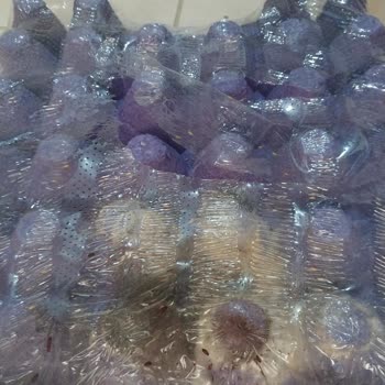 Getir'den Küflü Ve Böcekli Yumurta Teslimatı, Ürün Geri Alınmadı