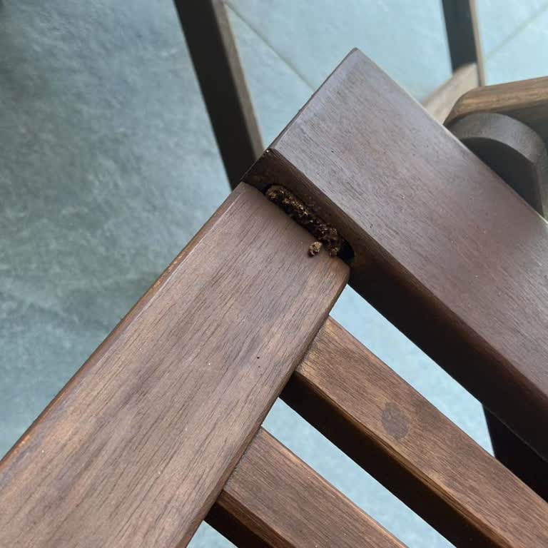 Koçtaş'tan Aldığım Masa Takımında Kırık Sandalye Ve Çözülmeyen Şikayet