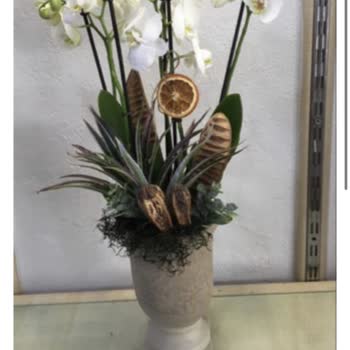 Taze Çiçek’ten Eksik Ve Ozensiz Teslimat, Yetersiz Müşteri Hizmeti: Ücret İadesi Talebim Var