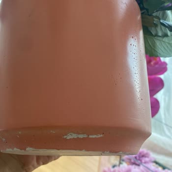 Sipariş Edilen Çiçek Hasarlı Ve Eksik Teslim Edildi, Müşteri Mağdur Edildi