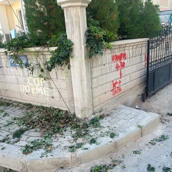 Bahçemdeki Sarmaşıklara Yapılan Bilinçsiz Budama Ve Eşitsiz Muamele