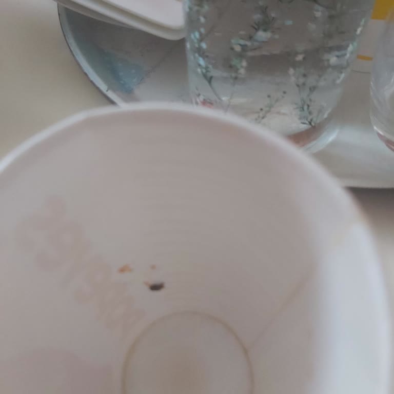 Soğuk Yemek Ve Koladan Sinek Çıkması Hayal Kırıklığı Yarattı