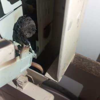 10 Aydır Şantiye Elektriğiyle Mağduruz, Kalıcı Elektrik Bağlantısı İstiyoruz