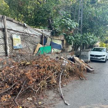 Kartal Belediyesi'nde Düzenli Çöp Toplama Sorunu Ve Kötü Koku Şikayeti