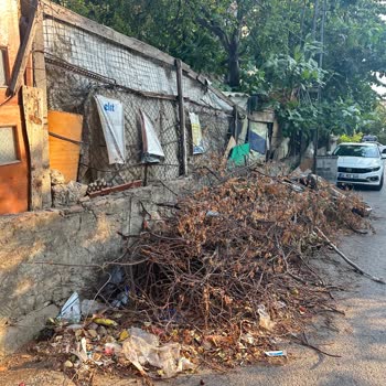 Kartal Belediyesi'nde Düzenli Çöp Toplama Sorunu Ve Kötü Koku Şikayeti