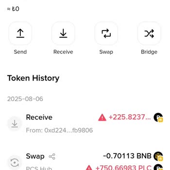 Binance Cüzdanımda Plc Coin Bakiyem Kayboldu, Çözüm Alamıyorum