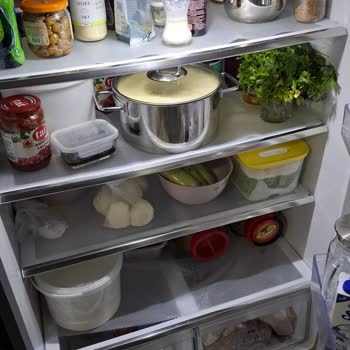 Arızalı Buzdolabı İçin Servis Desteği Alamıyorum, Mağduriyetim Sürüyor