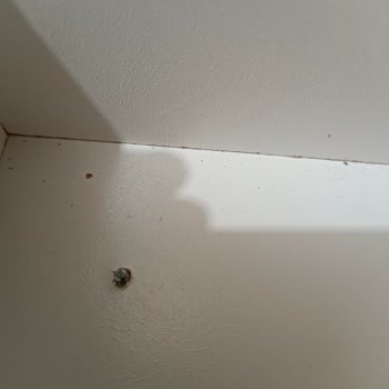 Dedeco Mobilya 151.000 TL’lik Mobilyada Teslimat Ve Montaj Faciası, Çözüm Sunulmuyor