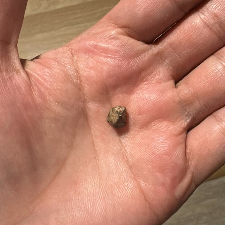 Hastanede Taşlı Yemek Ve İlgisiz Personel Şoku