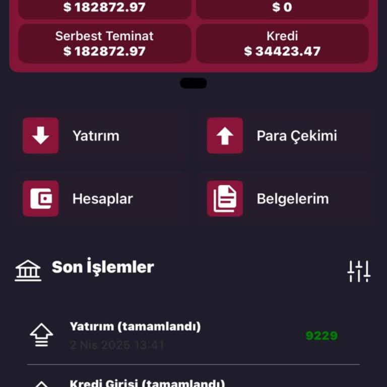 Katar Yatırım'dan Uzun Süredir Para Çekemiyorum, Hesabım Pasif Duruma Alındı