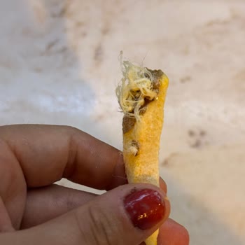 Dondurulmuş Parmak Patateste Köklenmiş Ürün Şoku!