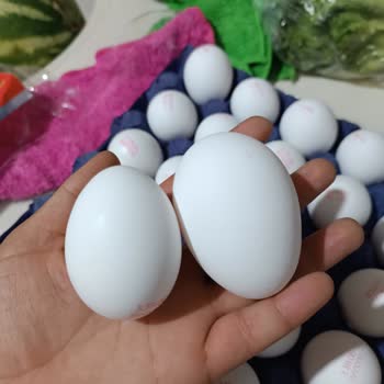 L Boy Diye Satılan Yumurtaların Yarısı M Boyunda Çıktı, Mağduriyet Yaşadım