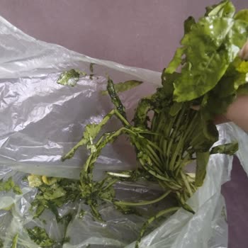 Bozuk Ürünler Ve Eksik Teslimat Sonrası Ücret İadesi Talebim