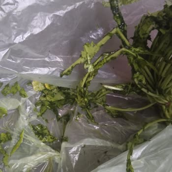 Bozuk Ürünler Ve Eksik Teslimat Sonrası Ücret İadesi Talebim