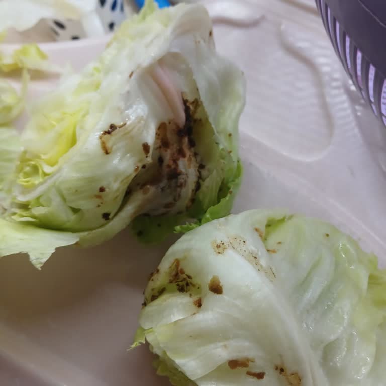 Çürük Ve Larvalı Göbek Salata Teslimatı Sonrası Mağduriyet