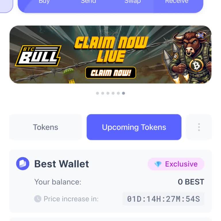 I Can’t See My Solaxy Tokens in Best Wallet and Need Immediate Help