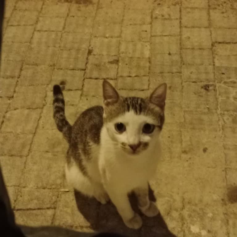 Denizbank Genç Kart Alışverişte Reddedildi Mağduriyet Yaşadım